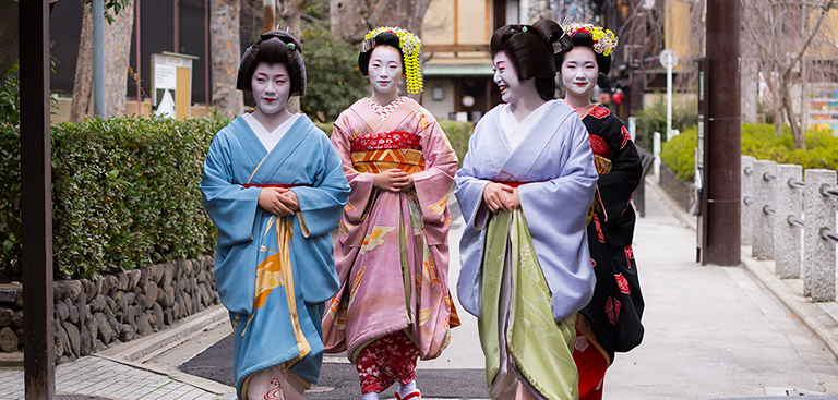 京都・先斗町「舛之矢」舞妓さん、芸妓さんご紹介｜舞妓さん募集